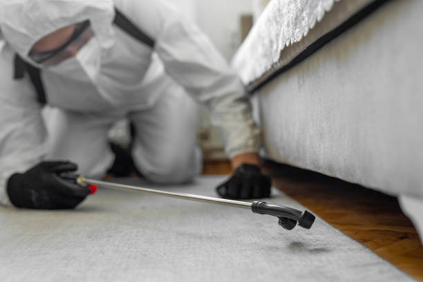 Professional Cockroach Control technician working in North Industry, OH