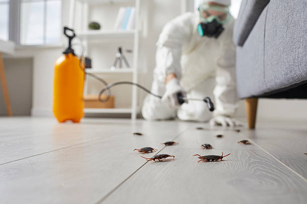 Affordable Cockroach Control solutions in North Industry, OH